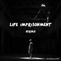 life imprisonment