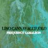 Lino Cannavacciuolo - Frequency Camaleon