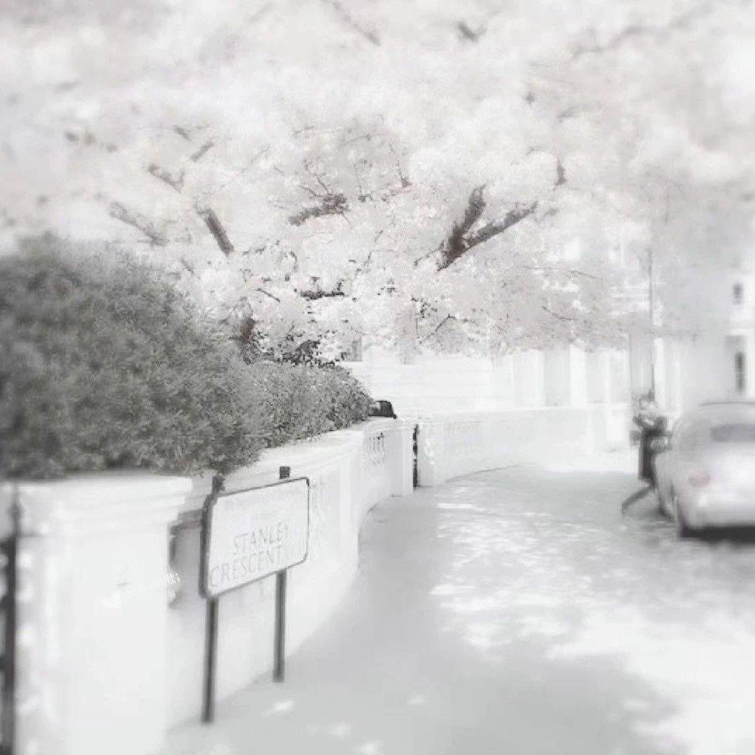 白灰黑色系封面 | 在线播放 | 网易云音乐