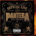 The Pantera Collection专辑