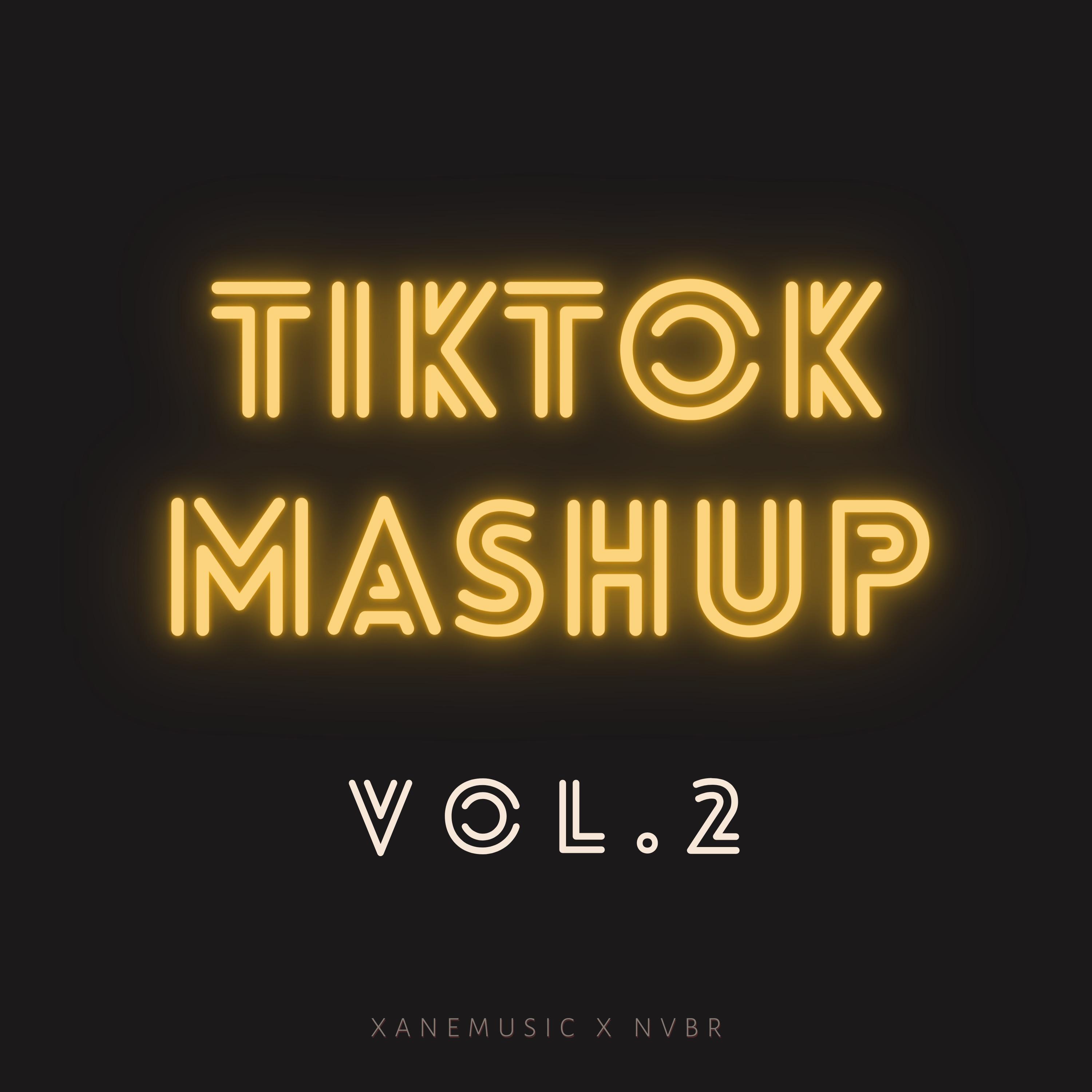 TikTok Mashup Vol. 2 (Remix)