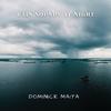 Dominick Maita - Rain Sounds