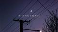 Wishful Dreams专辑