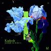 Kadosh (IL) - Closer To Heaven