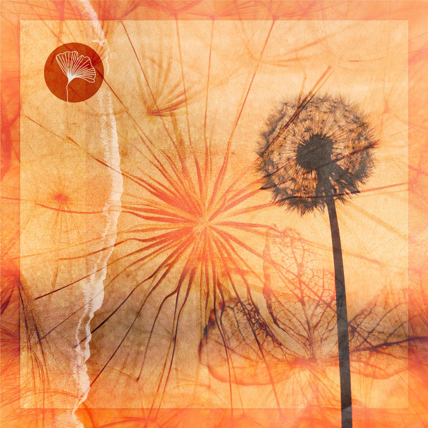 Someone To Love (Eran Hersh Remix)