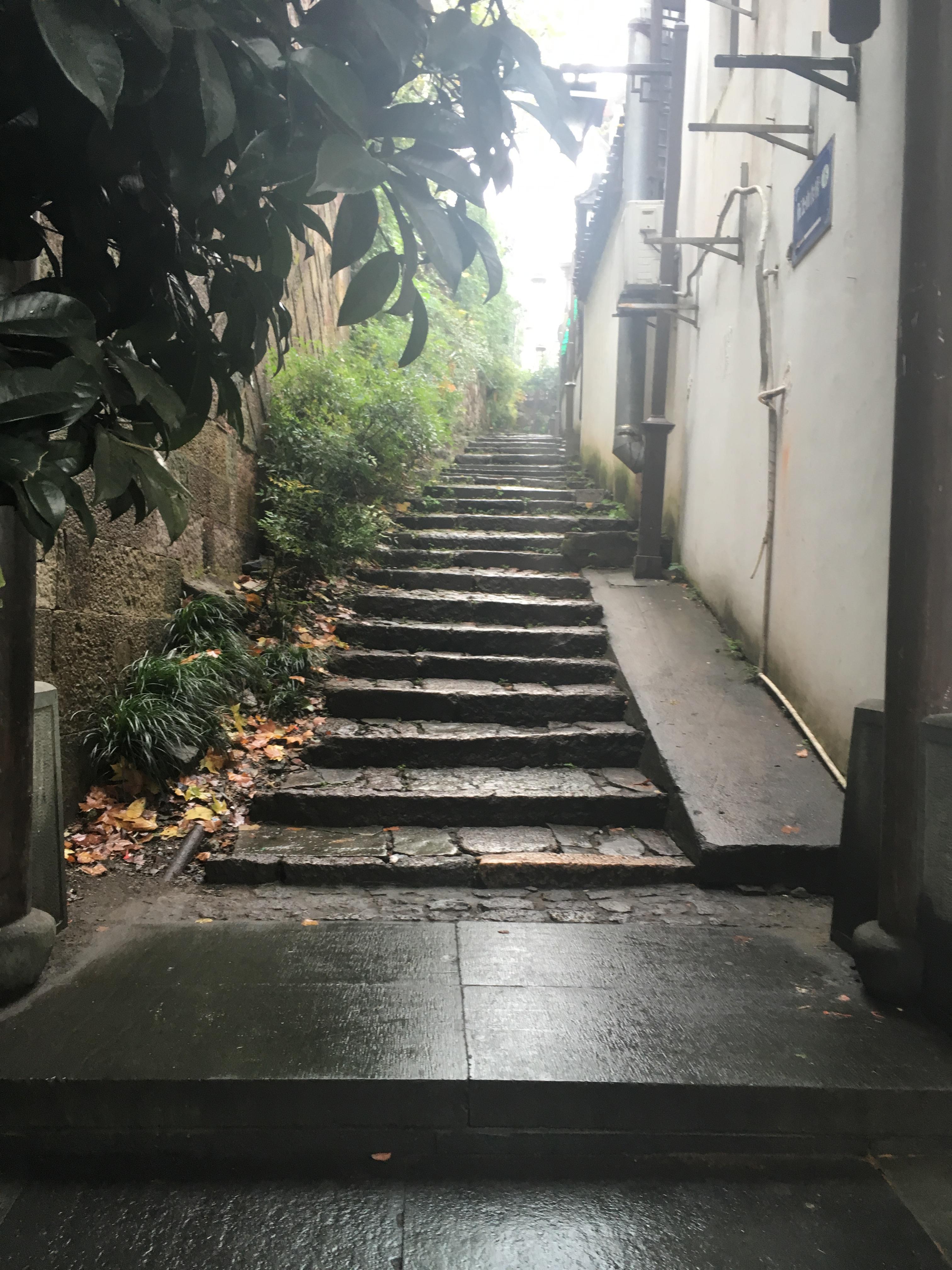 天青色等烟雨，而我在等你