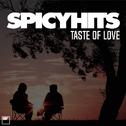 SPICYHITS - TASTE OF LOVE专辑