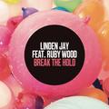Break The Hold (Remixes)
