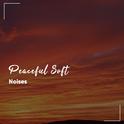 #2018 Peaceful Soft Noises for Meditation and Sleep专辑