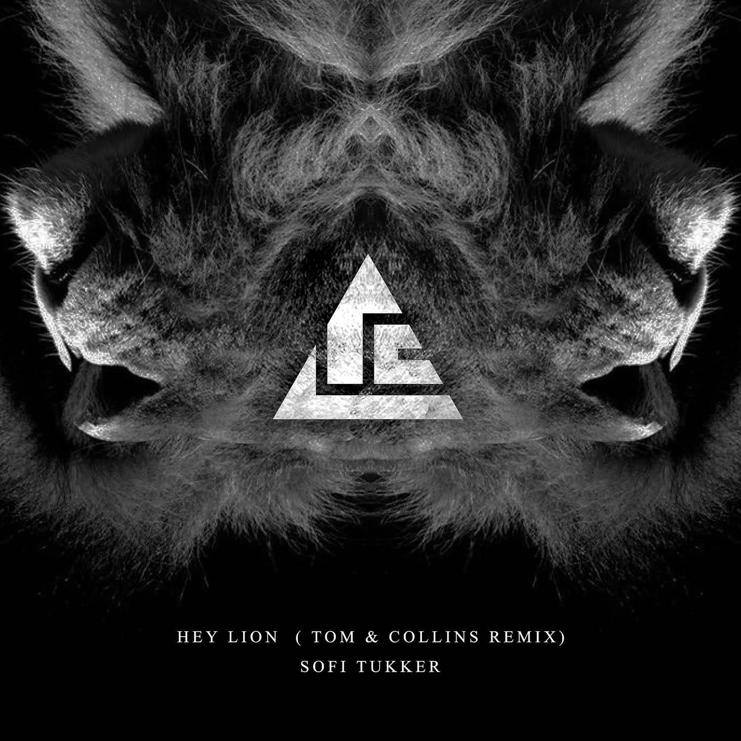 Hey Lion (Tom & Collins Remix)专辑