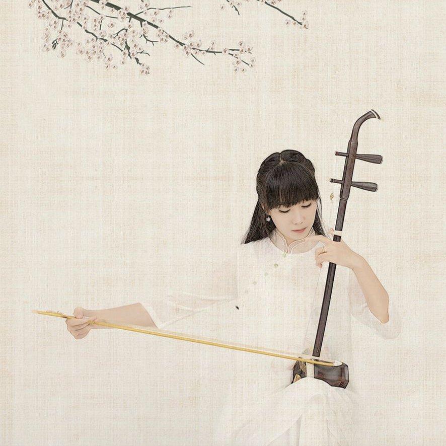 二胡‖二五指中句塞雁，十三弦上啭春莺