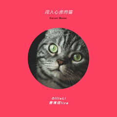 闯入心房的猫 伴奏