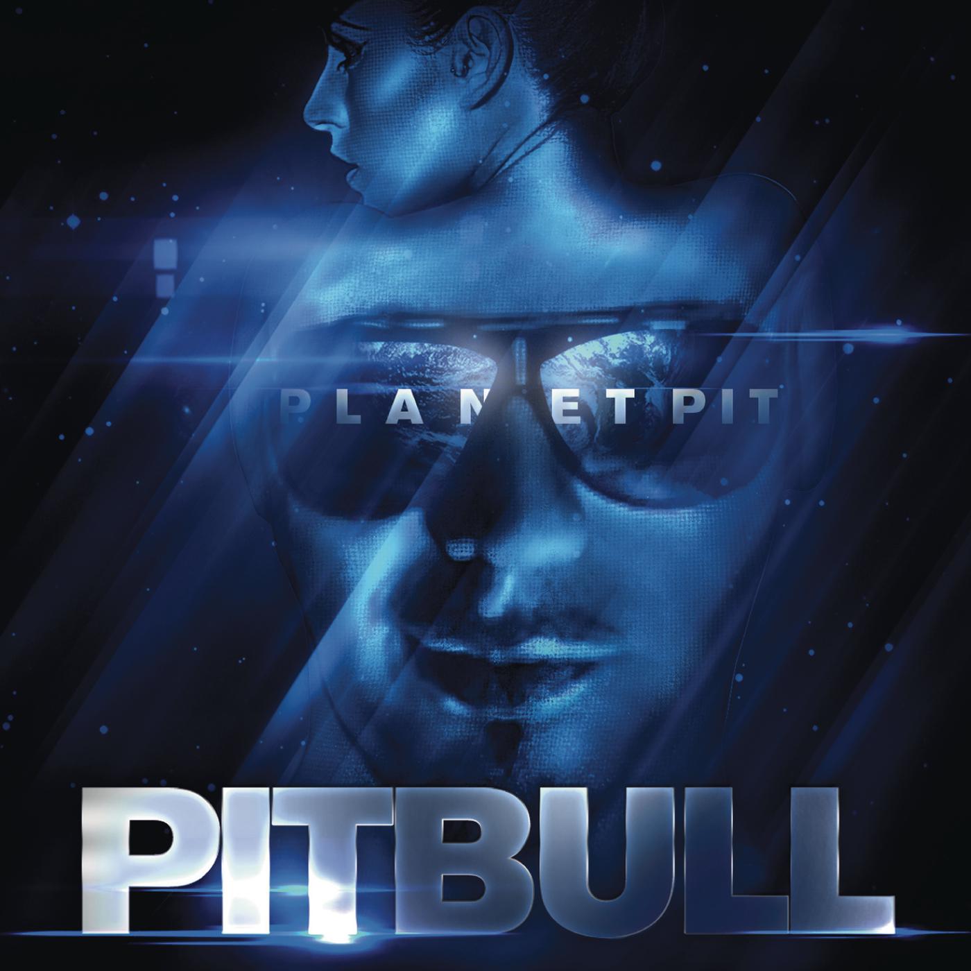 Pitbull - Took My Love (Feat. Redfoo & Vein & David Rush) (Leeik & Reni B Remix) (wav)