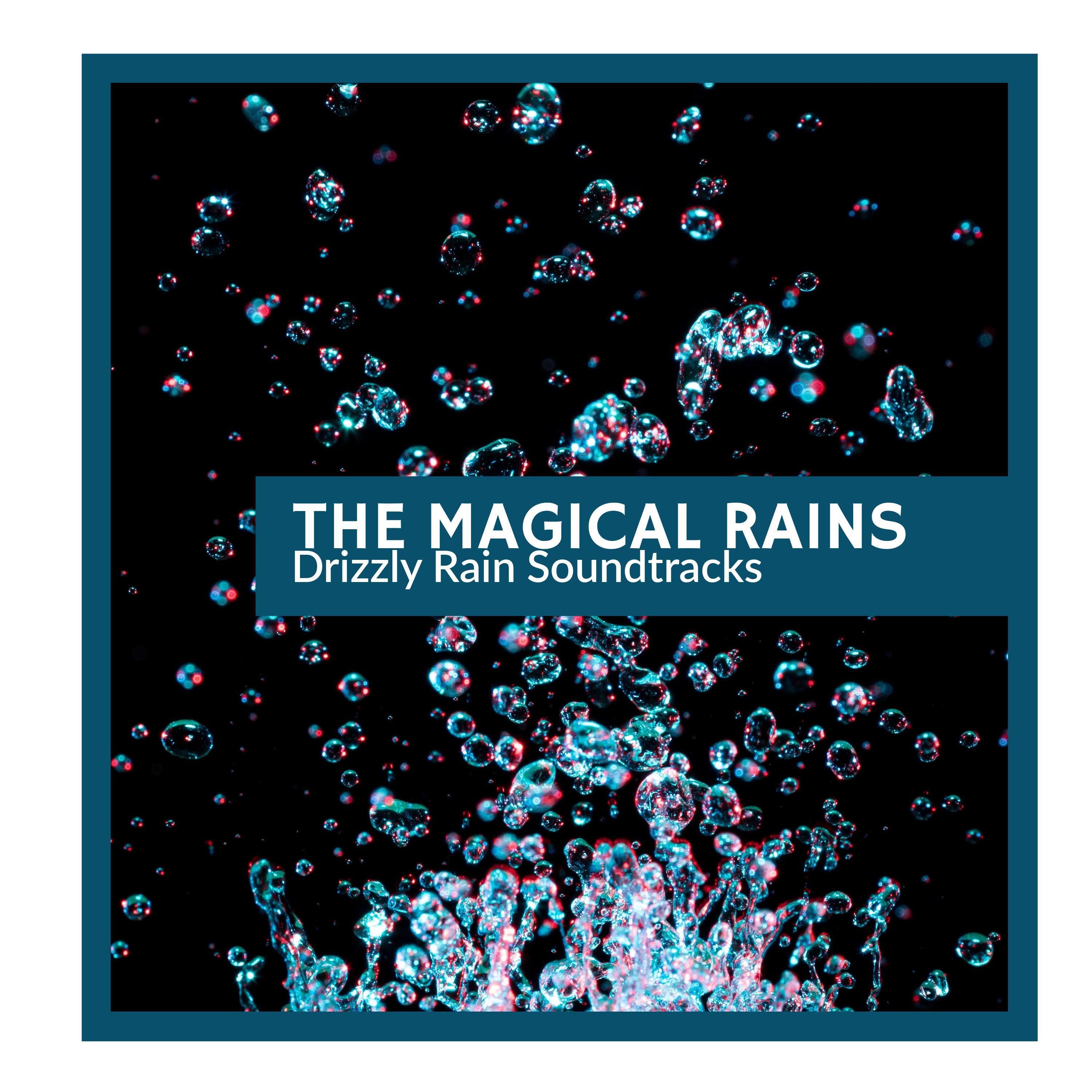 Forest Rain Music Studio - Tropical Soft Rain