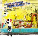 Brazil Classics 7: What's Happening in Pernambuco, New Sounds of the Brazilian Northeast专辑