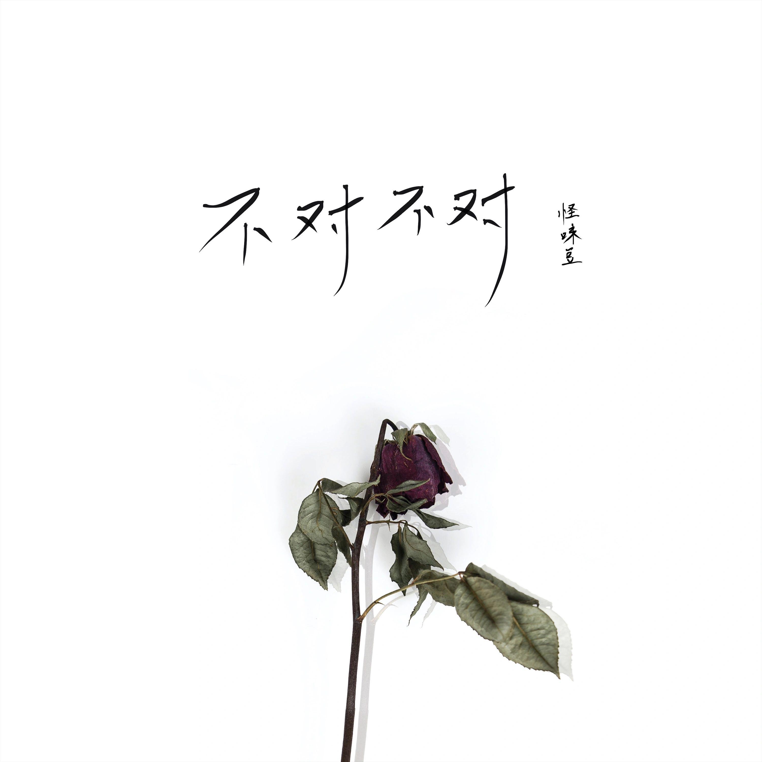 不对不对