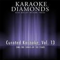 Curated Karaoke, Vol. 13专辑