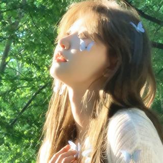 夏/春/森系 治愈系音乐