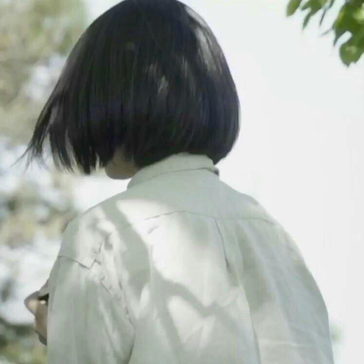 「漫步」和你一起去看櫻花 | 在线播放 | 网易云音乐