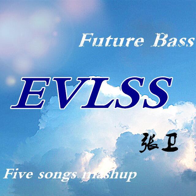 EVLSS（mashup）专辑