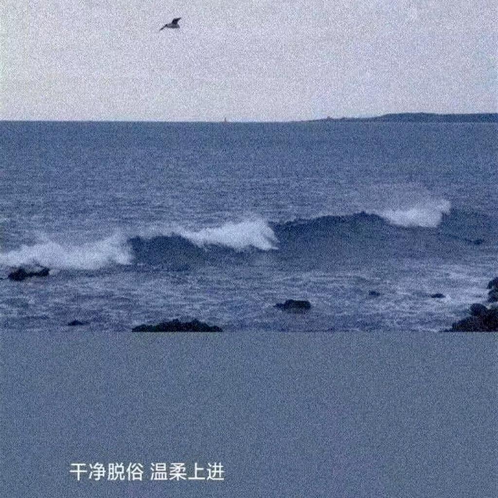 温柔 | 独立 自我 冷静 接纳 释怀 | 在线播放 | 网易云音乐