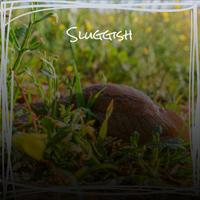 Sluggish
