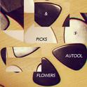 PICK5 & FLOWERS专辑