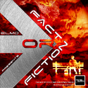 Fact Or Fiction (Original MIx)