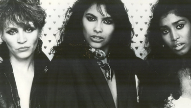 Vanity 6