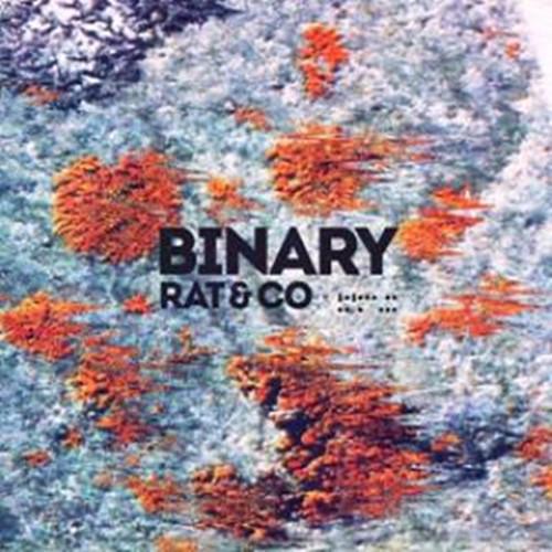 Binary