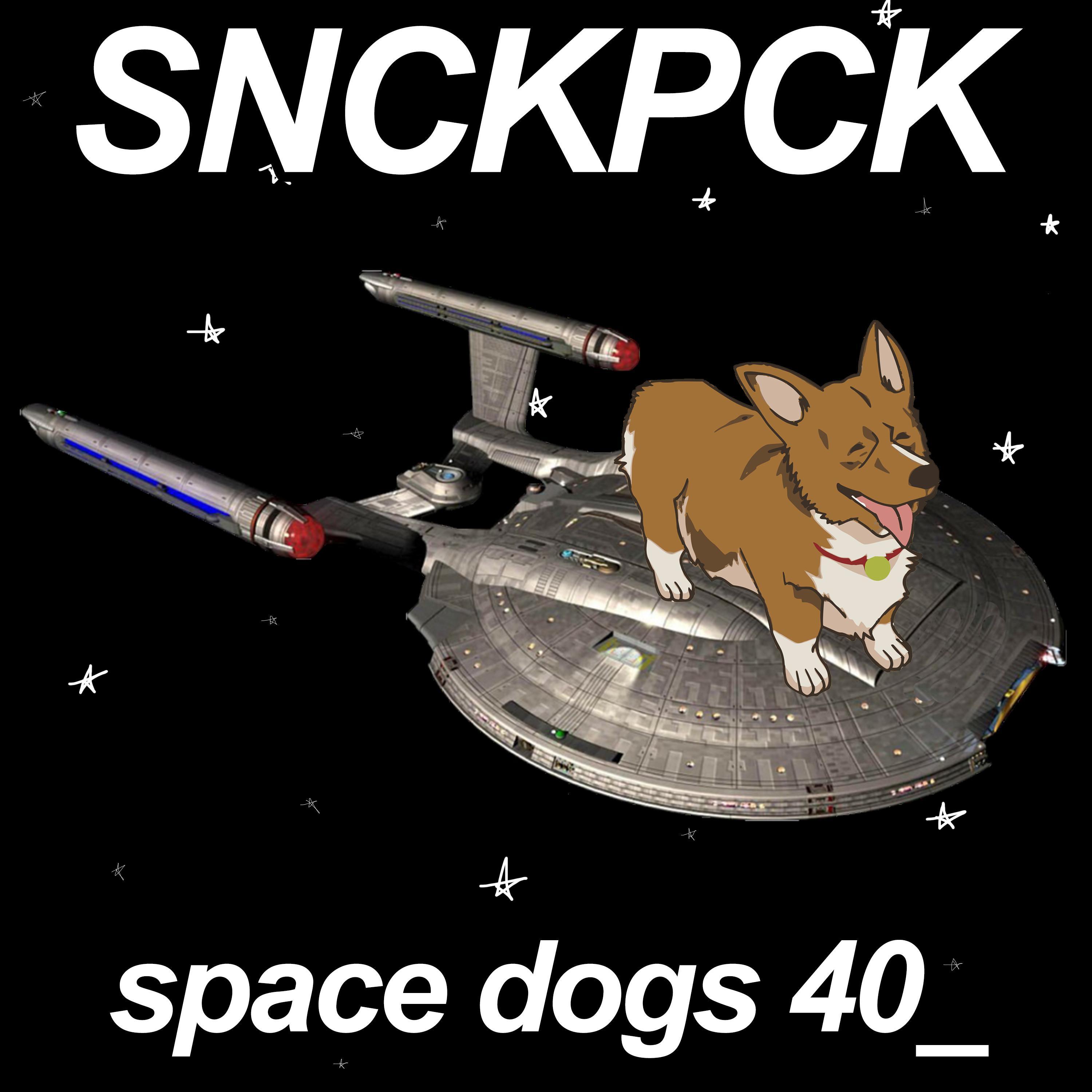 Space Dogs 40_