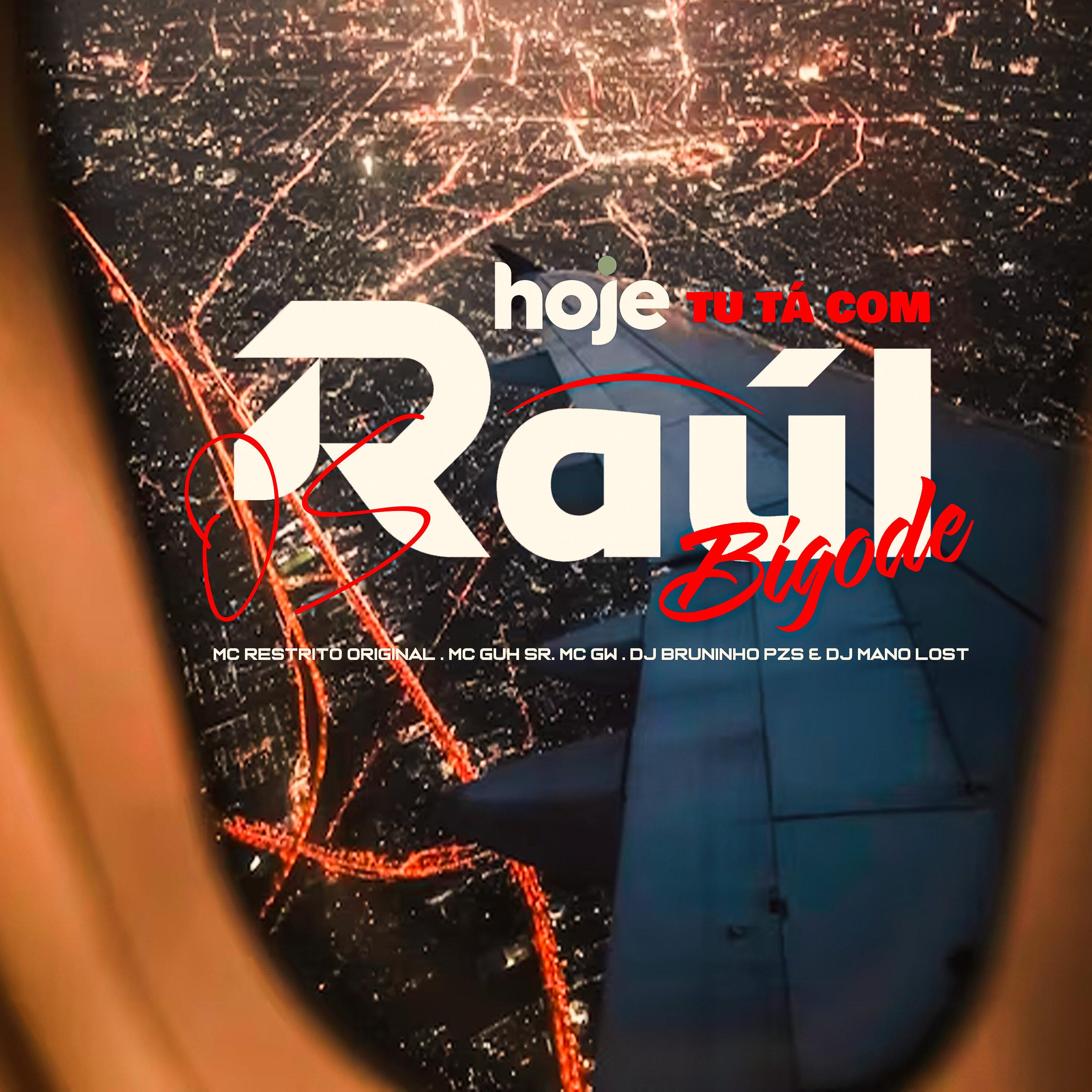 Hoje Tu Tá Com os Raúl Bigode