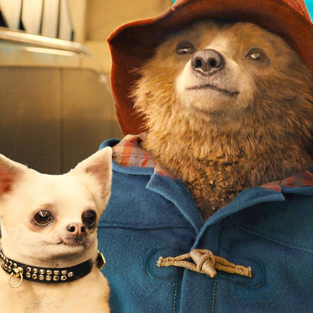 帕丁顿熊里喜欢的歌|paddington 1
