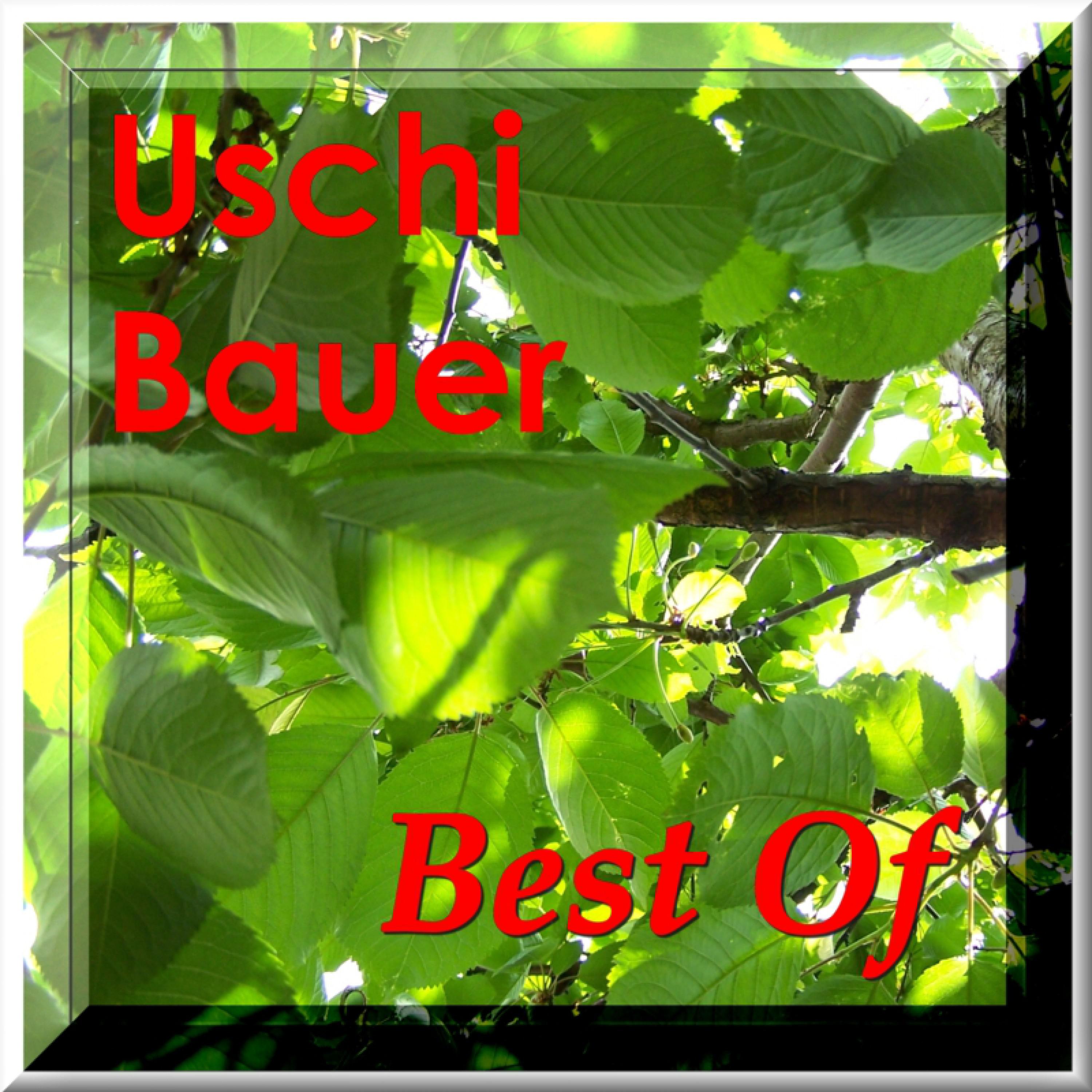 Best of Uschi Bauer专辑