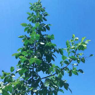 学习纯音丨与星河坠入书海漂泊