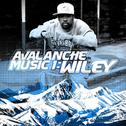 Avalanche Music 1: Wiley专辑