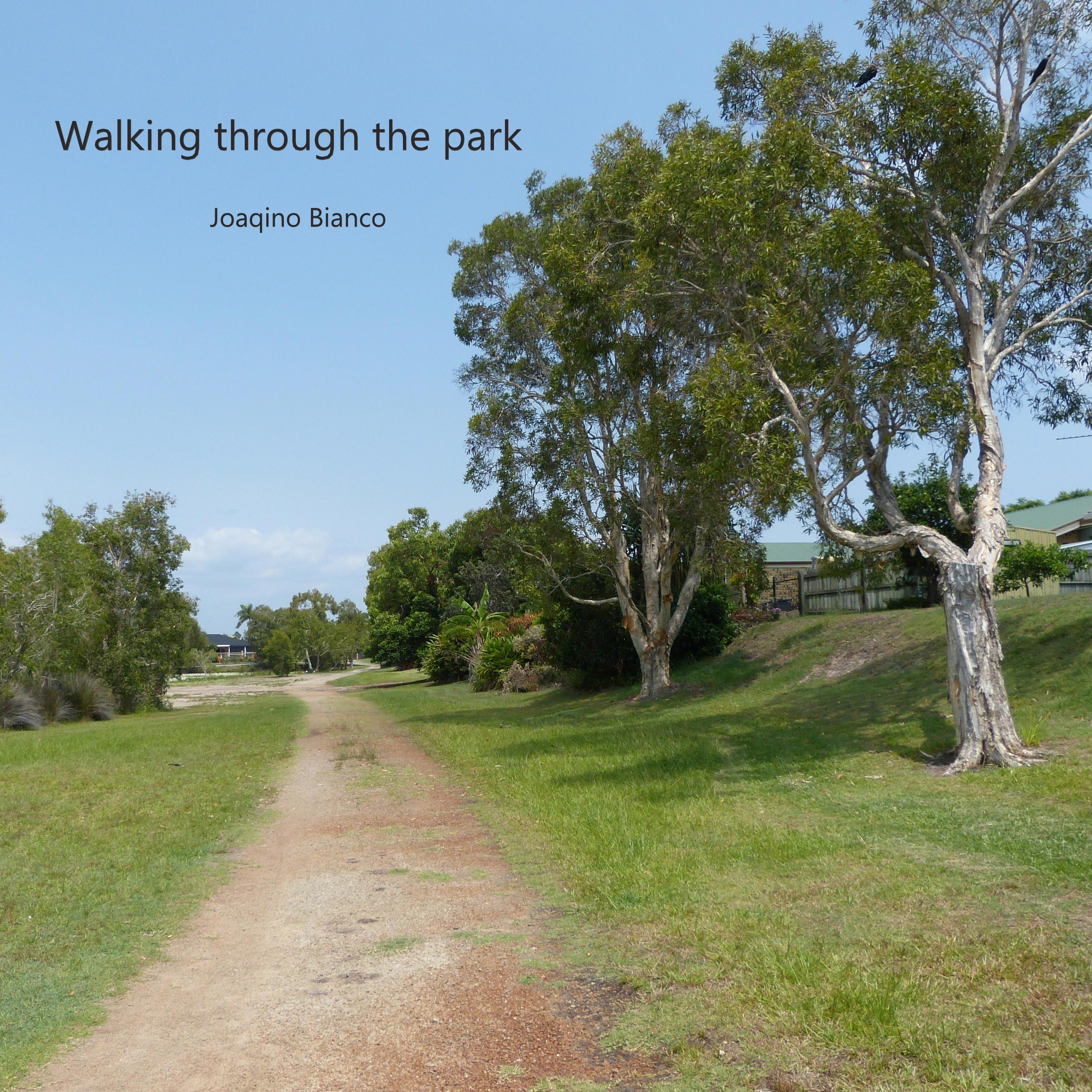 Joaqino Bianco - Walking Through The Park