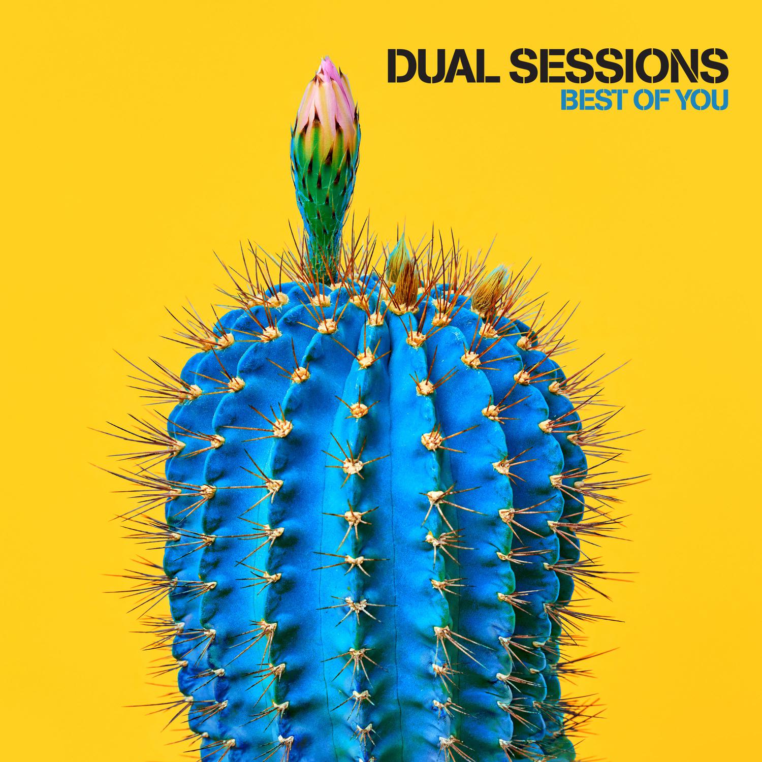 Dual Sessions - Best of You (Chill Mix)