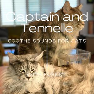 Captain And Tennille - We Never Really Say Goodbye (Karaoke) 带和声伴奏 （降8半音）