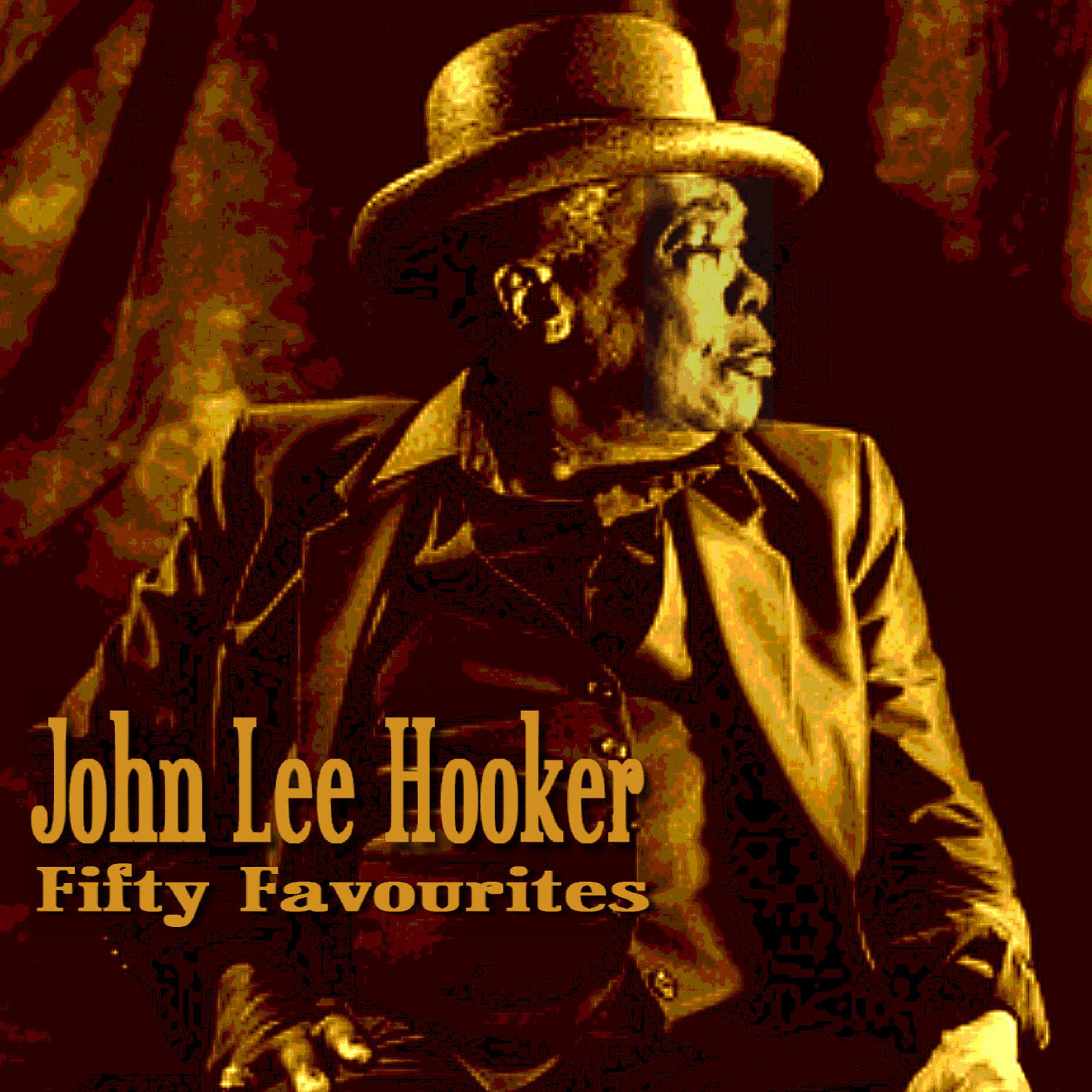 John Lee Hooker - Fifty Favourites