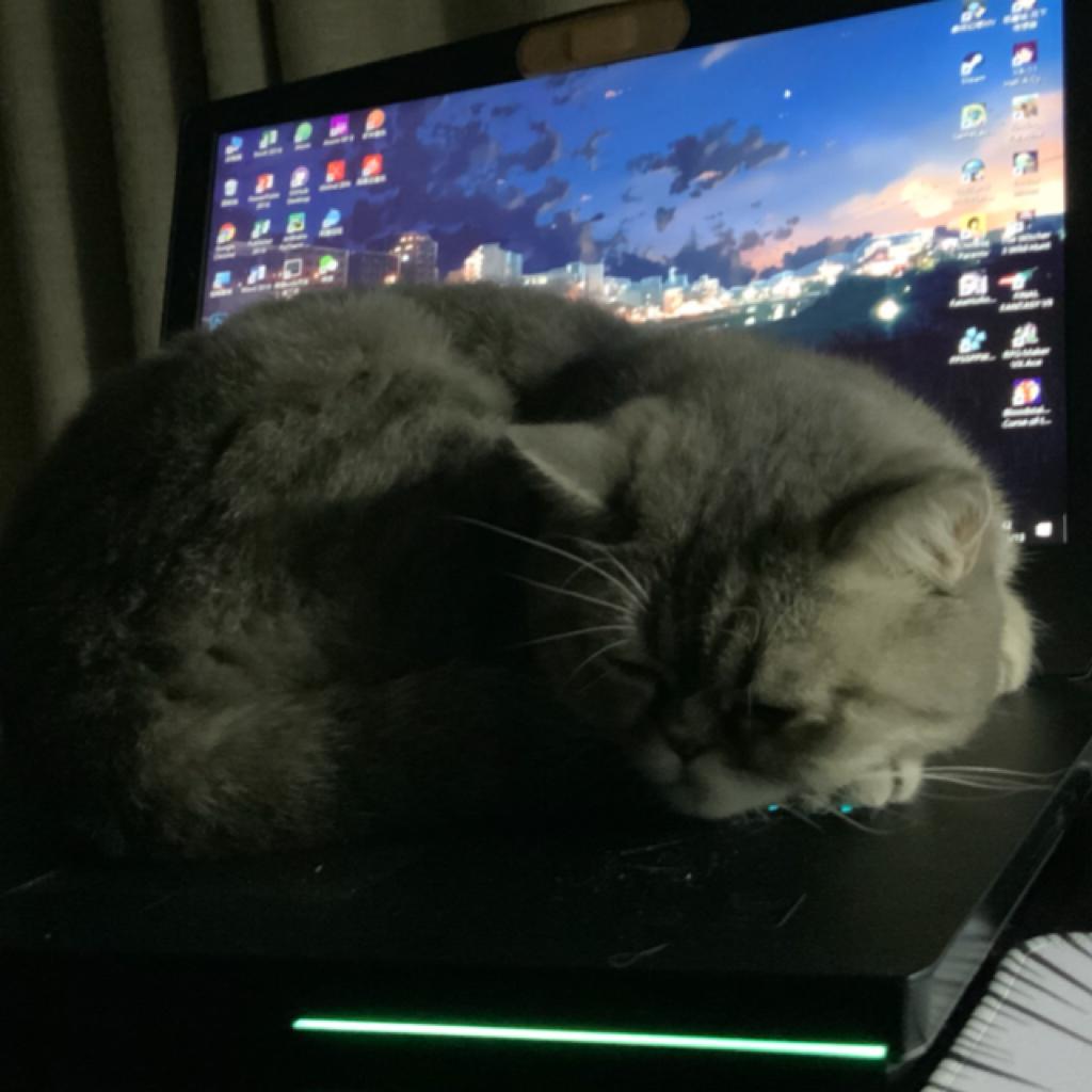 zzZjazZ睡觉爵士乐