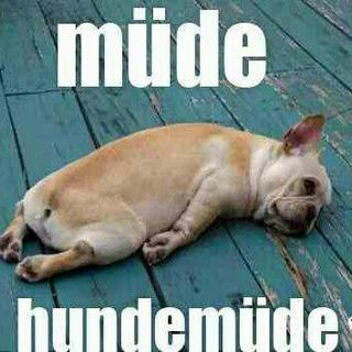 霸气的德语也有温柔的一面