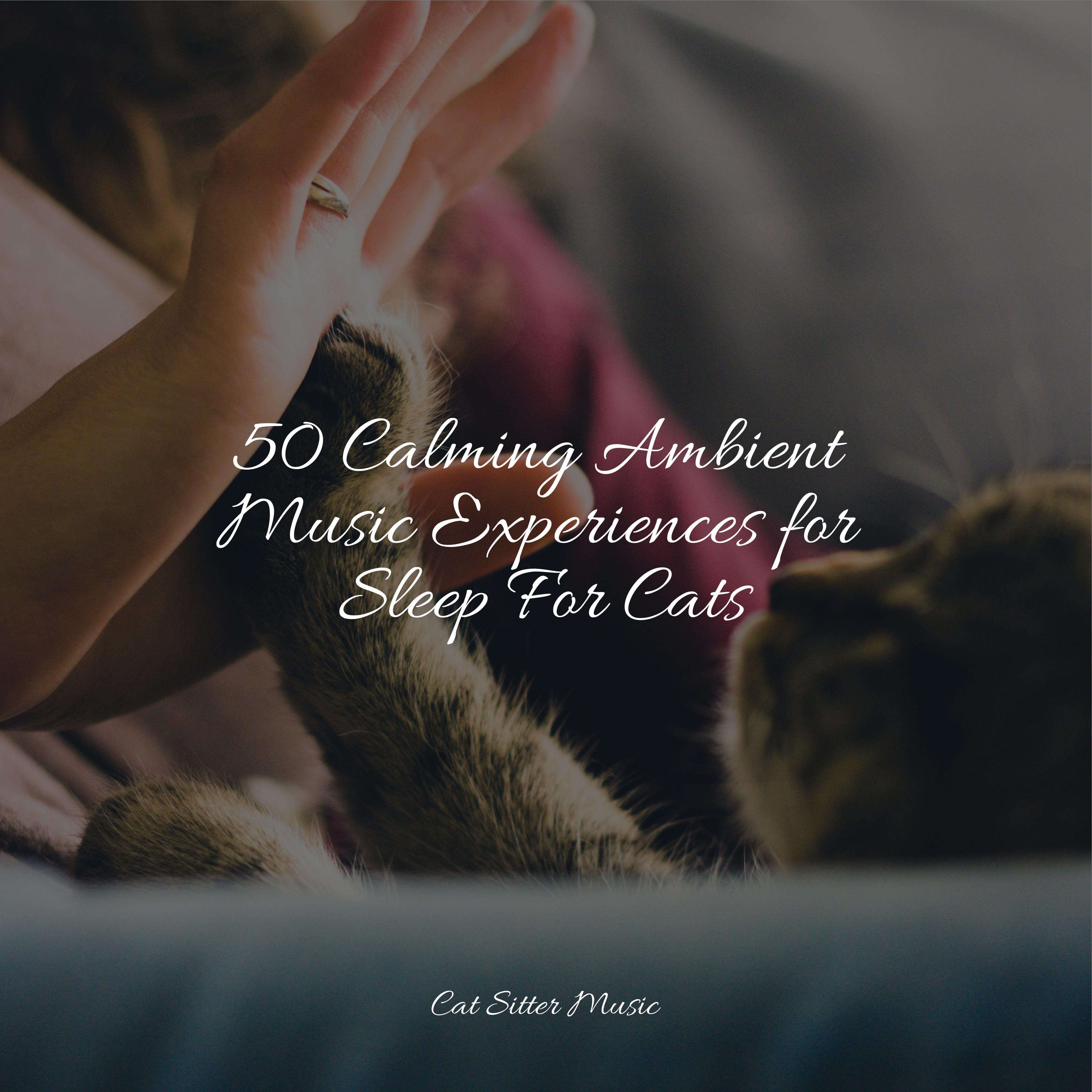 Jazz Music for Cats - Tone of Silence