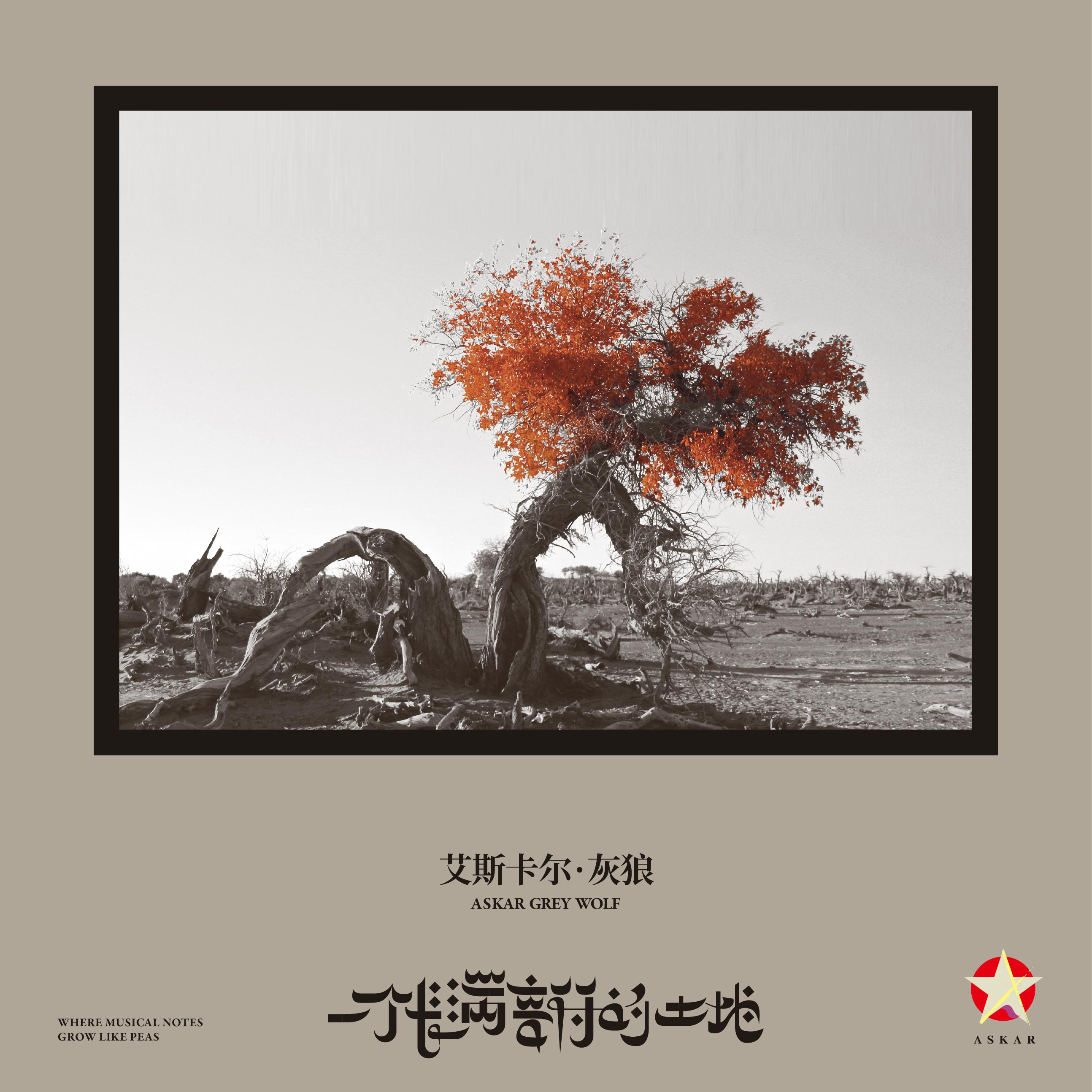 没有时间的雨声