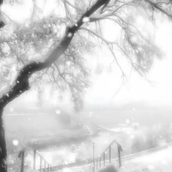 在冰冷的世界期待下一场雪.