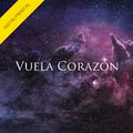 Vuela Corazón (Instrumental) - Single