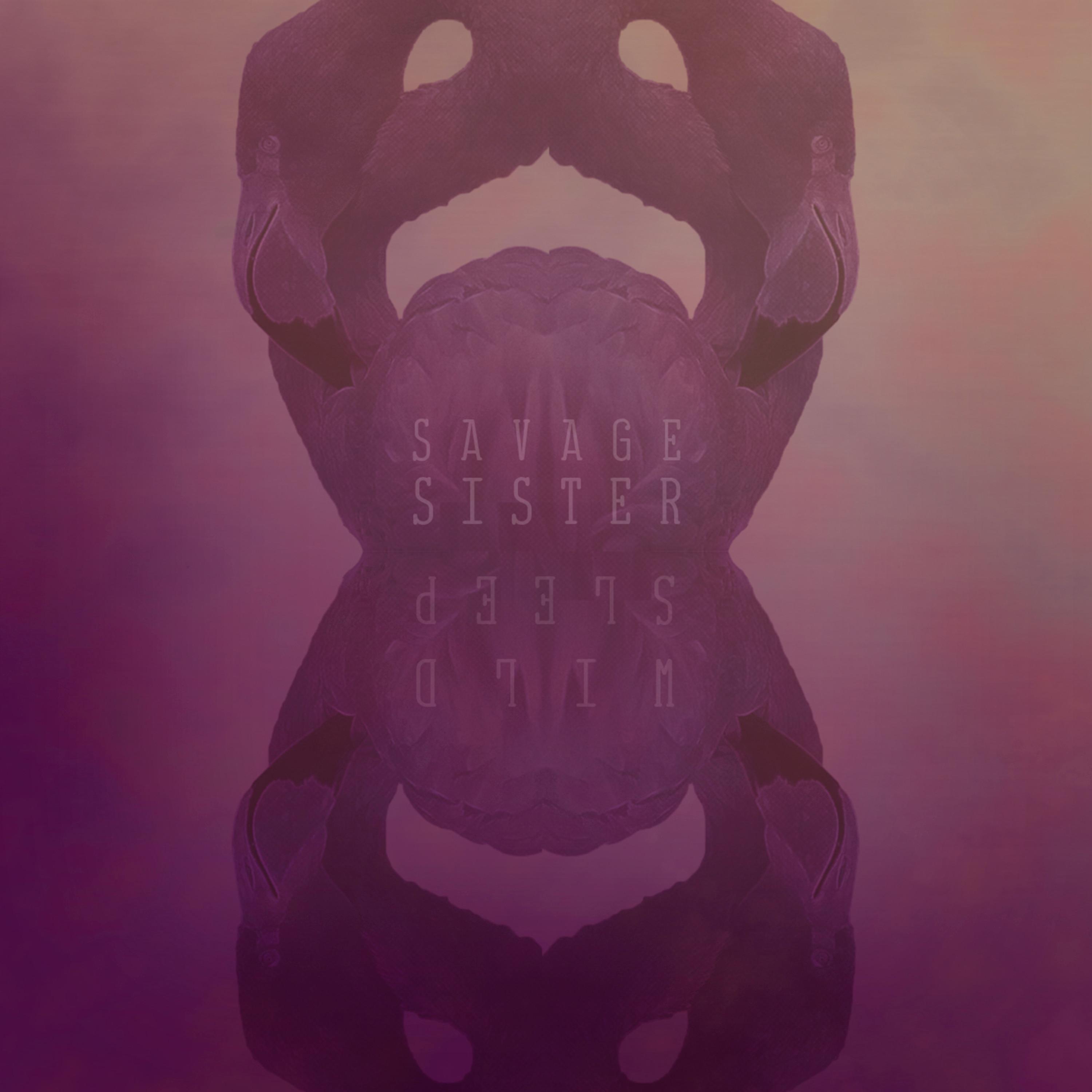Wild Sleep EP