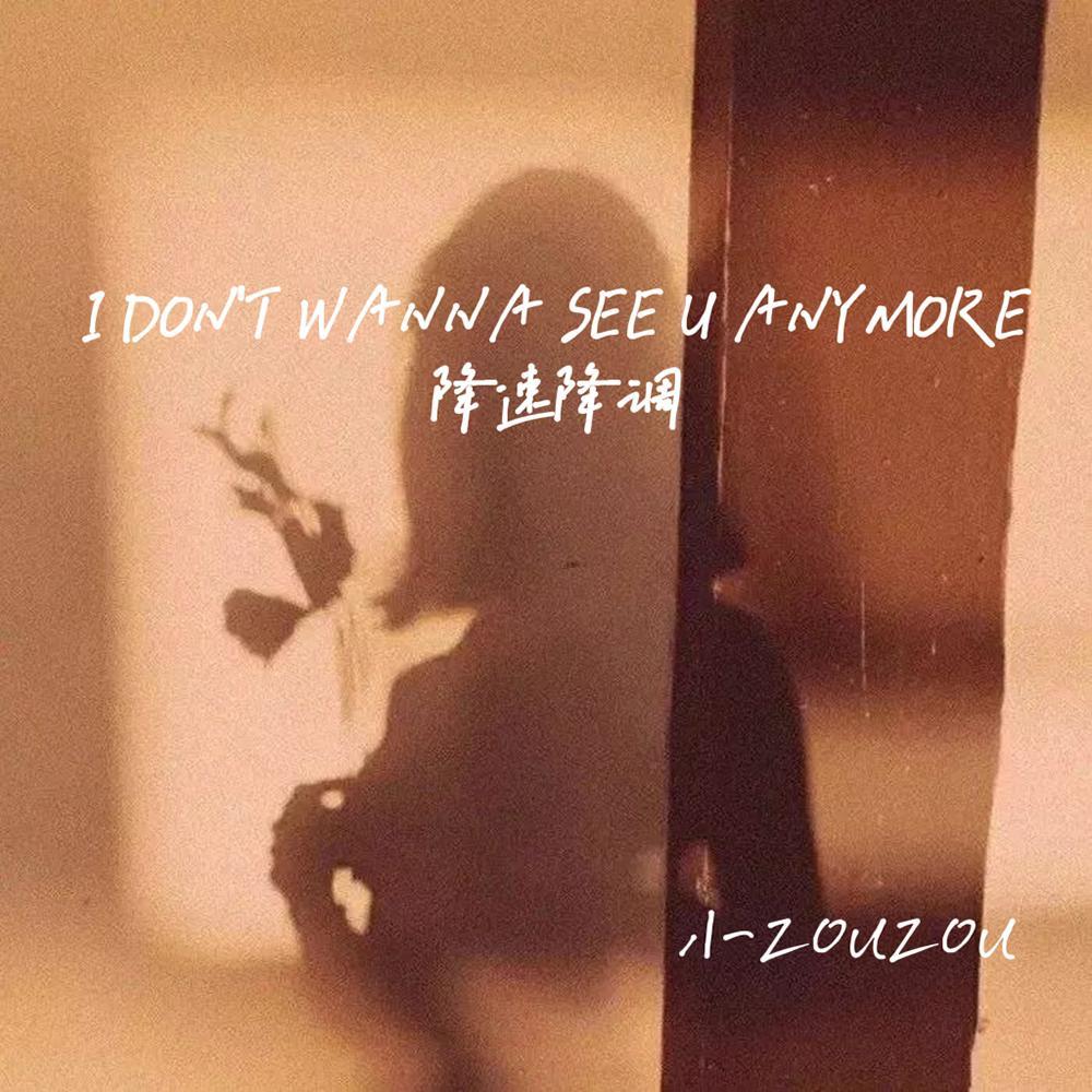 I don't wanna see u anymore（降调）(小zouzou remix)封面