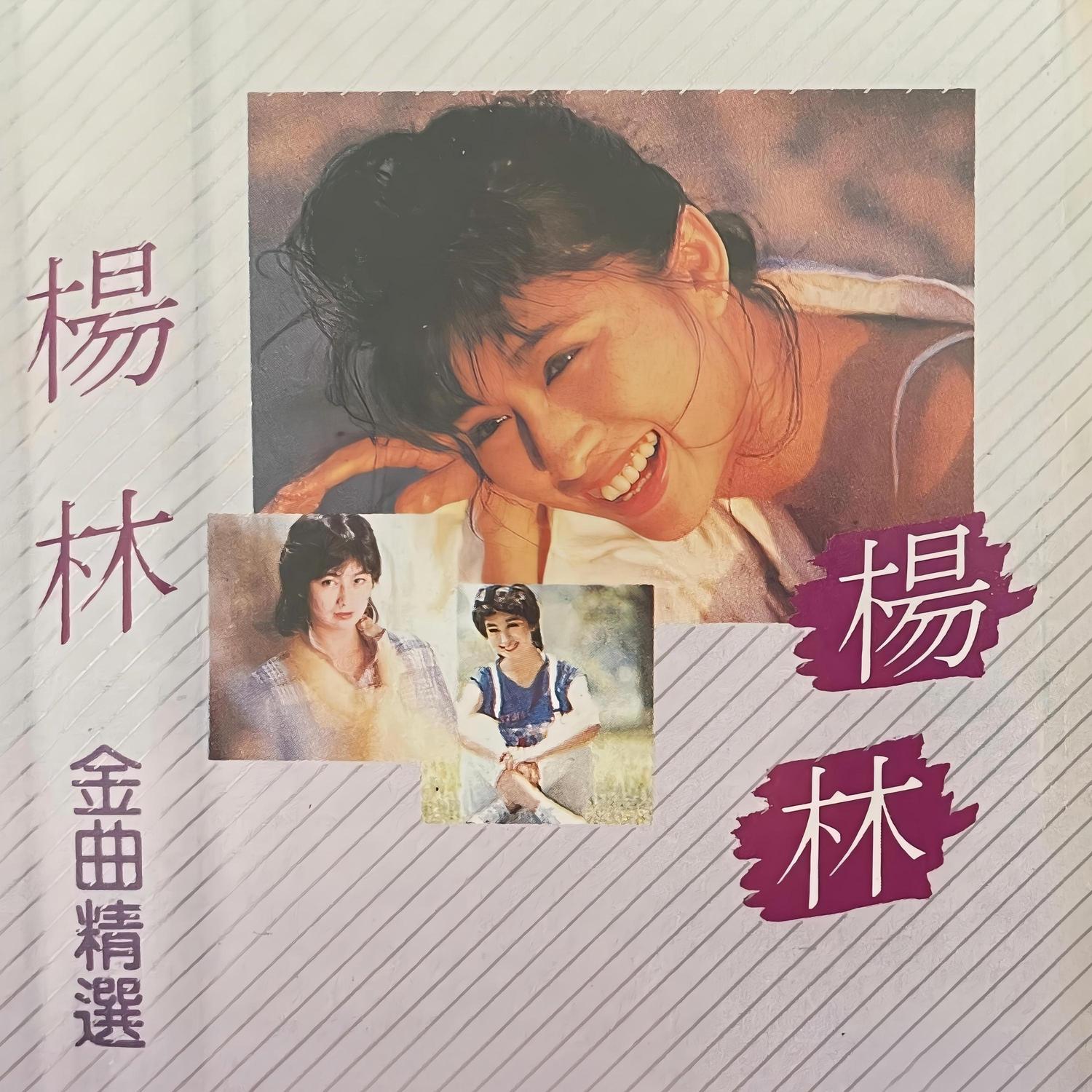 杨林金曲精选