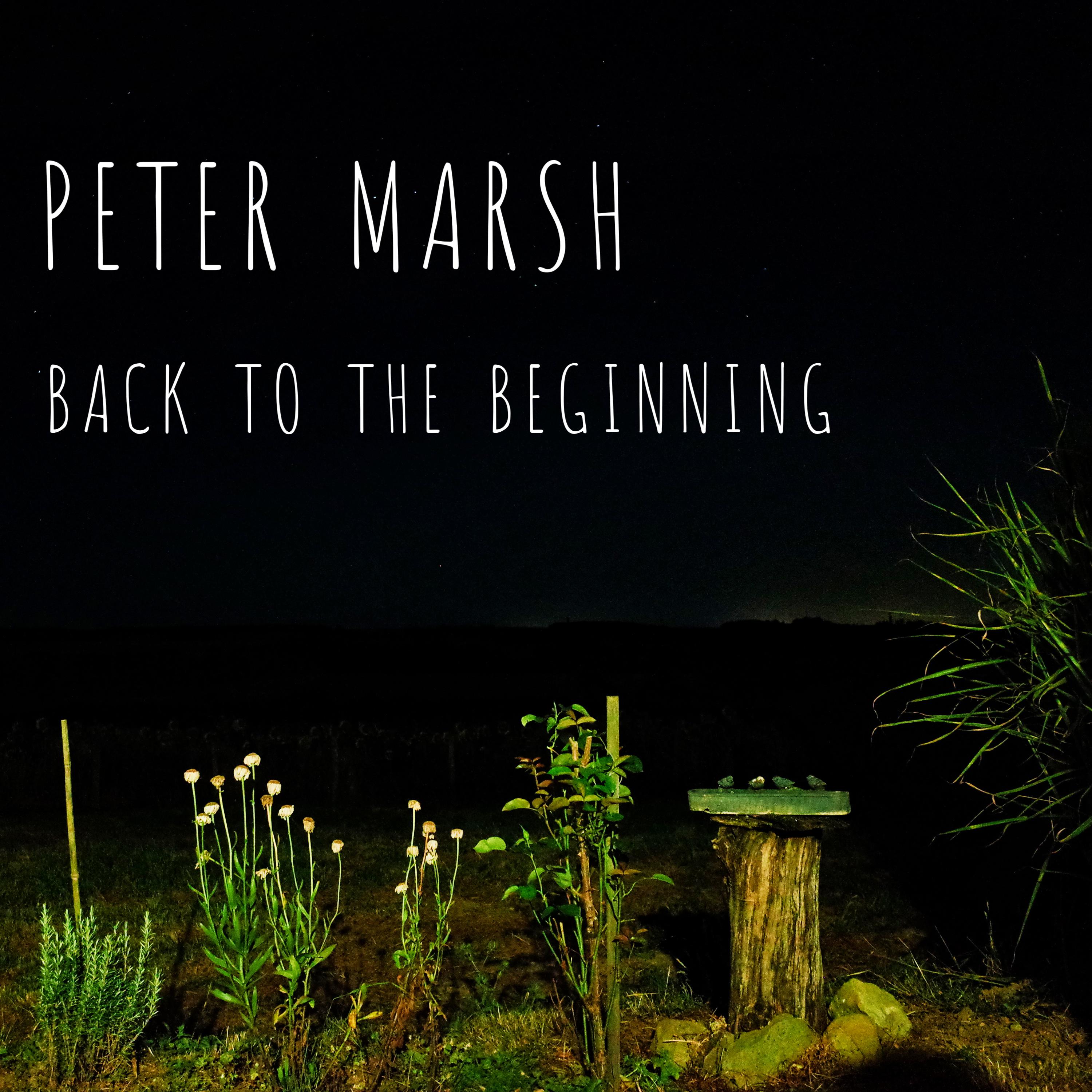 Peter Marsh - Alone with You